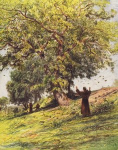 St. Franziskus predigt den Vögeln