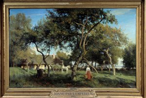 Äpfelpflücken in der Normandie im Jahr 1865