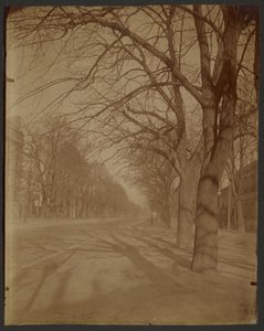 Avenue de l