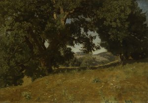 Landschaft