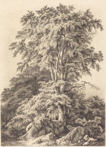 Buchenhain, 1840 von Eugene Bléry