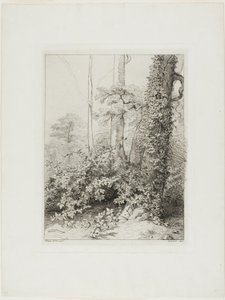 Brombeere und Efeu von Eugene Bléry