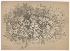 Brombeeren und andere Pflanzen von Eugene Bléry