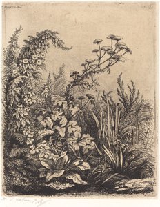 Kleine Wasserkresse mit Winde von Eugene Bléry