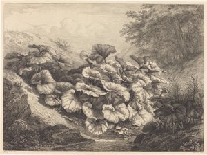 Große Huflattich von Eugene Bléry