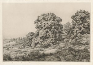 Eichen an einem Teich, 1852 von Eugene Bléry