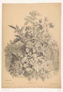 Tomaten und Rosen von Eugene Bléry