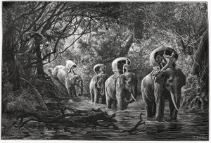 Auf dem Weg in den Wald, die Expedition reist auf dem Rücken eines Elefanten. Gravur von Eugene Burnand zur Illustration der Geschichte "Reise in Oberlaos", 1880, von Dr. P. Neis. Veröffentlicht in Le Tour du Monde, nouveau journal des voyages, 2. Semester