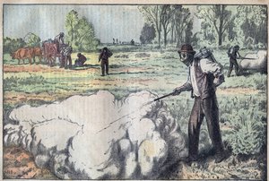 Die Zerstörung der Mulots (Apodemus) durch das erstickende Gas in der Morgendämmerung - Gravur von Damblans von Eugene Damblans