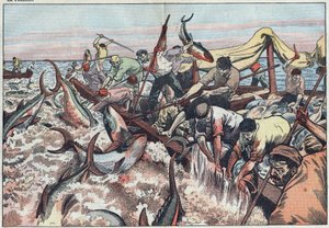 Thunfischfang in Tunesien - Thunfisch wird im letzten Netz, bekannt als „corpo“, gefangen, mit Zähnen gehakt und ins Fischerboot geschlagen. Illustration von Damblans. In „Le Pelerin“ vom 30. August