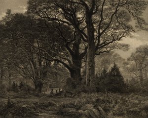 Wald von Fontainebleau