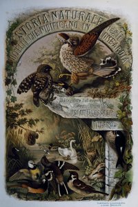 Titelseite der Naturgeschichte der Vögel, die in der Lombardei nisten, von Eugenio Bettoni, Gravur von Oscar Dressler von Eugenio Bettoni, Oscar Dressler