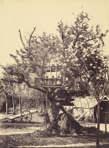 Taubenhaus im Baum von Eugène Colliau