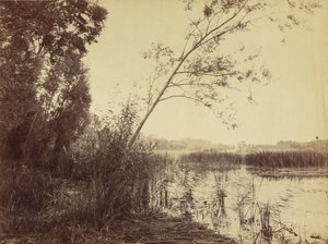 Marais de Fampoux von Eugène Cuvelier