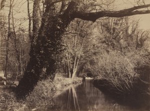 Parc de Courances, späte 1850er Jahre