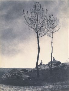 Près de la Caverne, Terrain Brûlé von Eugène Cuvelier