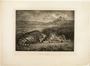 Bengalischer Tiger von Eugène Delacroix
