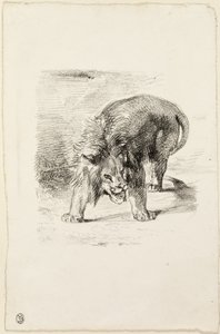 Stehender Löwe von Eugène Delacroix