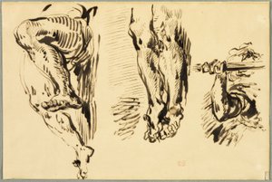 Studie von Armen und Beinen des gekreuzigten Christus von Eugène Delacroix