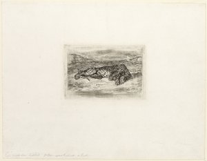 Tiger ruht in der Wüste von Eugène Delacroix