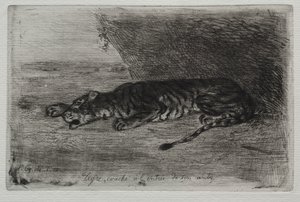 Schlafender Tiger am Eingang zu seinem Versteck von Eugène Delacroix