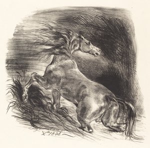 Wildes Pferd kommt aus dem Wasser, 1828 von Eugène Delacroix