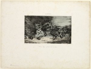 Junger Tiger spielt mit seiner Mutter von Eugène Delacroix