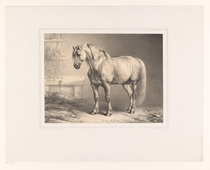 Pferd in einem Stall von Eugène Verboeckhoven