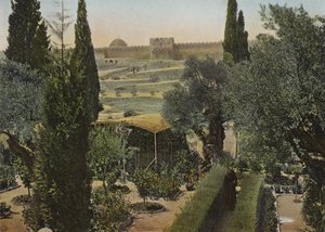 Garten Gethsemane von European Photographer