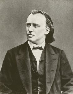 Johannes Brahms, Porträt, ca. 1876 von European Photographer