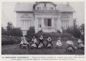 Der Hagenbeck-Zoo von European Photographer