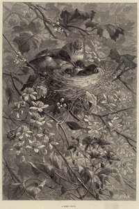 Ein Familienkreis (Gravur) von European School