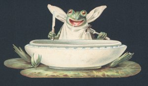 Ein Frosch frisst eine Fliege von European School