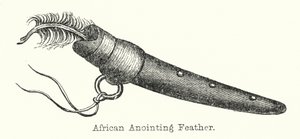 Afrikanische Salbungsfeder von European School