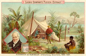 Alexander von Humboldts Expedition nach Südamerika, 1800-1804 von European School