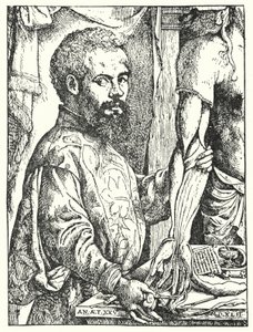 Andreas Vesalius von European School