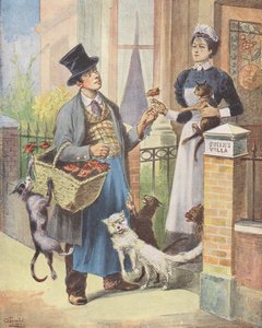 Katzenfleischmann, London