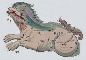 Cetus (Farblithographie)