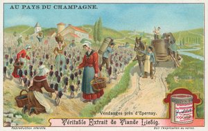 Champagner, Liebig-Karte, frühes 20. Jahrhundert