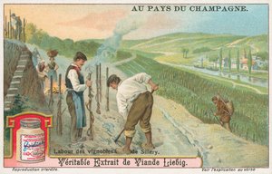 Champagner, Liebig-Karte, frühes 20. Jahrhundert von European School