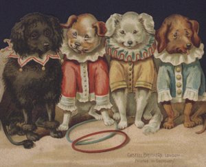 Komische Hunde von European School