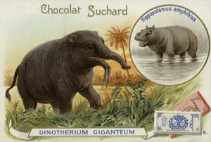 Deinotherium Giganteum und Nilpferd