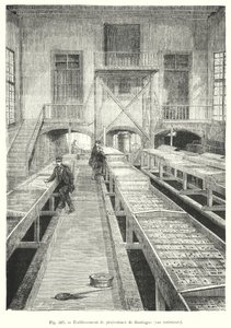 Fischzuchtanlage von Huningue, Innenansicht von European School