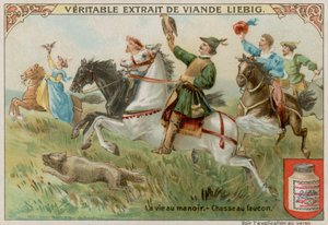 Jagd mit Falken von European School