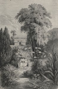 Das Paradies von Quetzalcoatl von European School