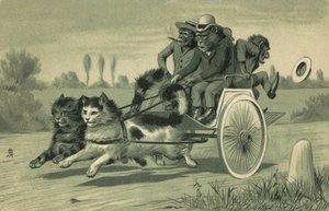 Affen fahren eine Kutsche, die von zwei Katzen gezogen wird von European School