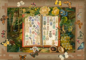 Seite aus Sammelsurium Band VIII