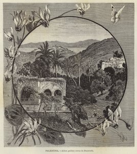 Palästina, Galiläisches Dorf in der Nähe von Nazareth von European School