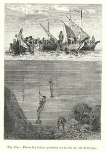 Perlenfischerei an der Küste der Insel Ceylon (Gravur) von European School