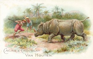 Nashorn unter Angriff